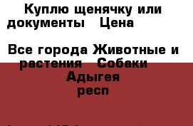 Куплю щенячку или документы › Цена ­ 3 000 - Все города Животные и растения » Собаки   . Адыгея респ.